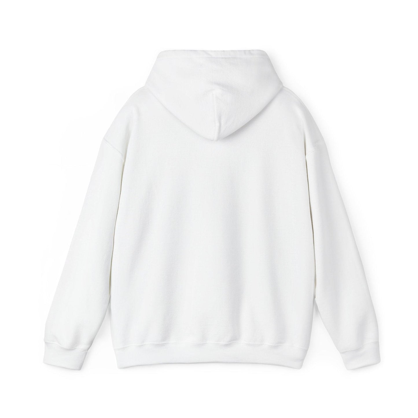 Angel with Money Bag hoodie
