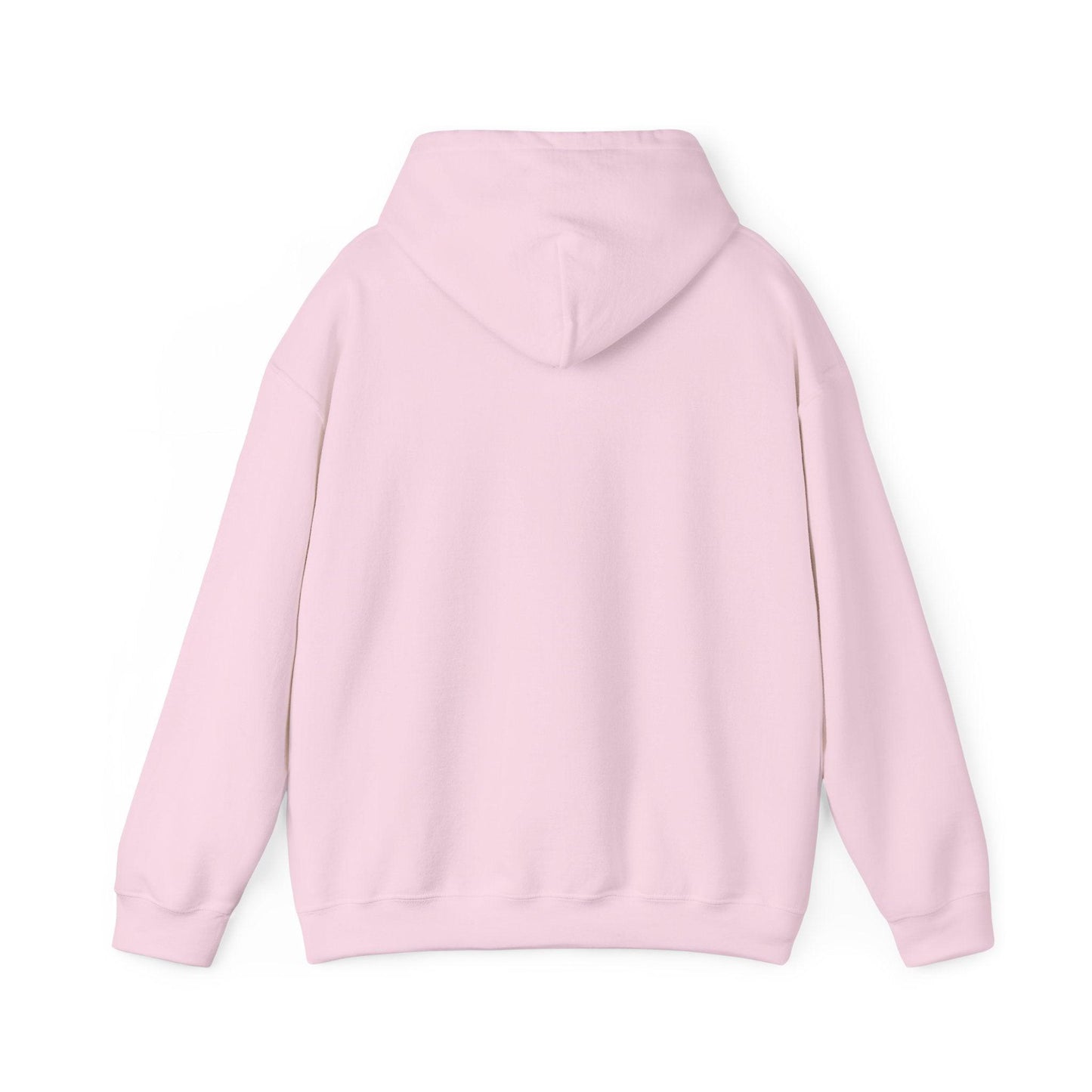 Angel with Money Bag hoodie
