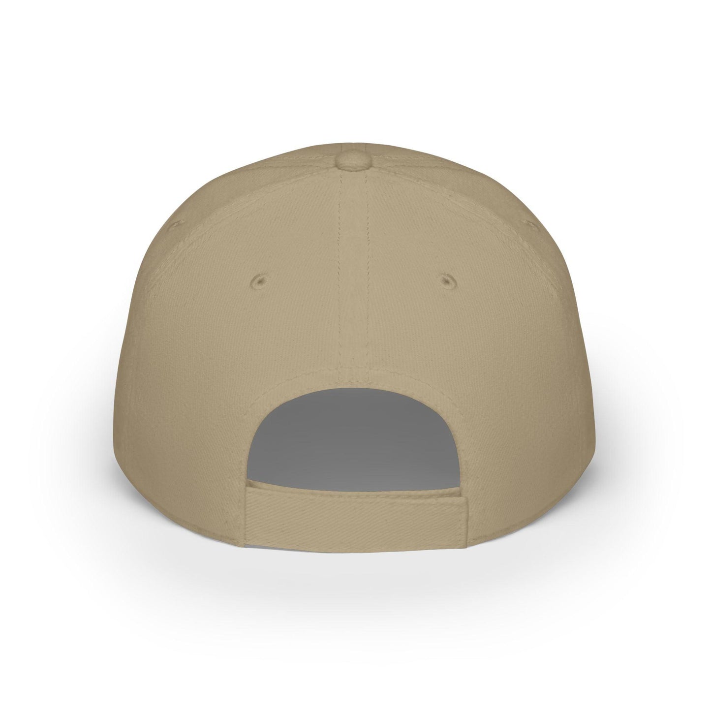 Made Off with the Cash hat