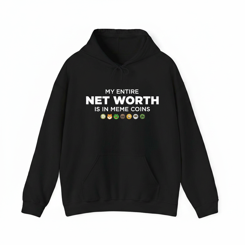 My Entire Net Worth Is In Meme Coins Hoodie