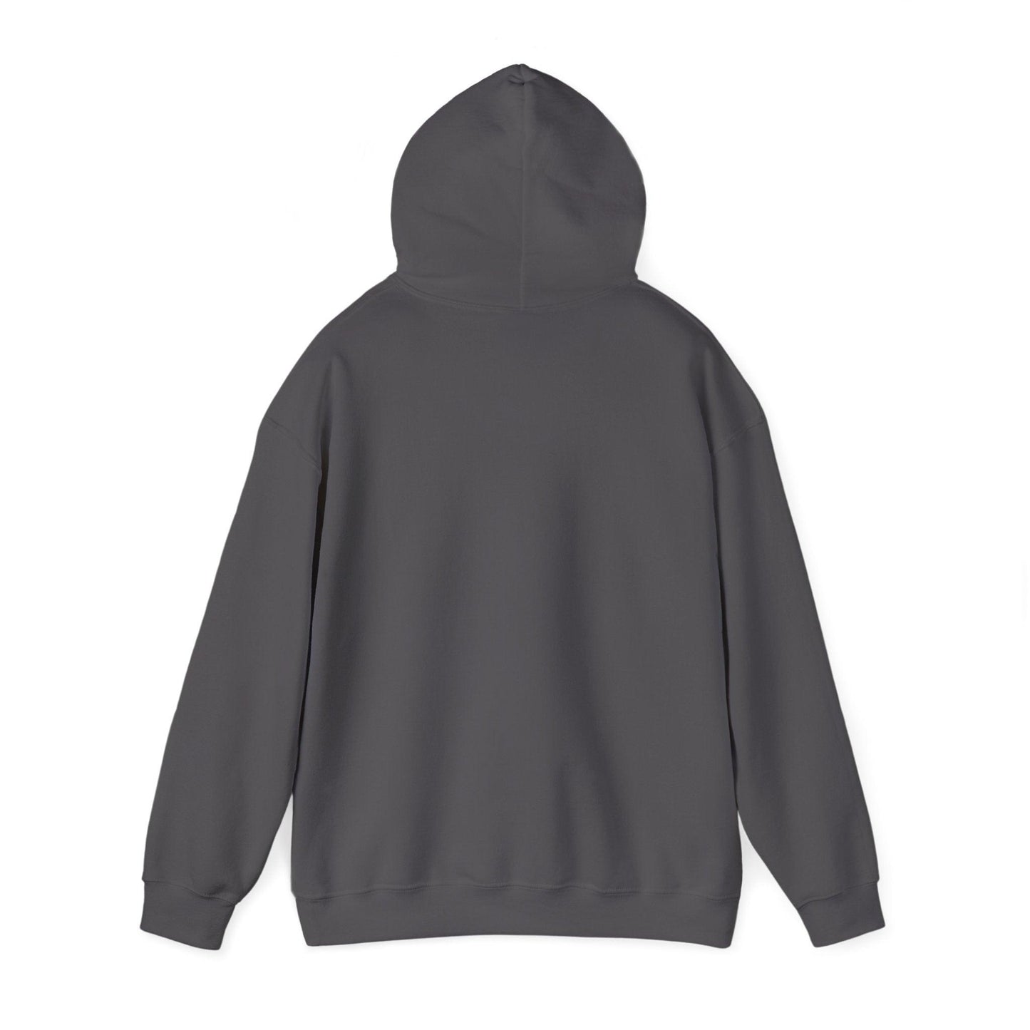 Satoshi Nakamoto hoodie