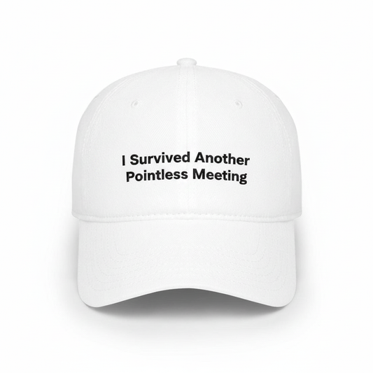 Survived Pointless Meeting hat